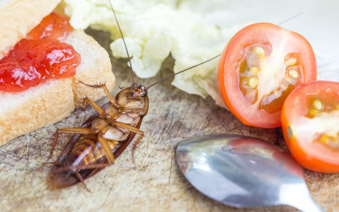 4 Pests that Could be Making Your Allergies Worse