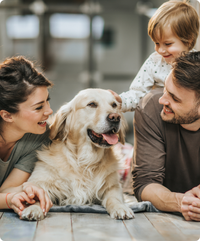 H2 Pest Control uses pet safe chemicals